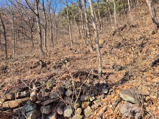 정진필님의 기타작물 · 영농일지 작성글 사진