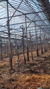 팜모닝 기타작물·영농일지 게시글 이미지