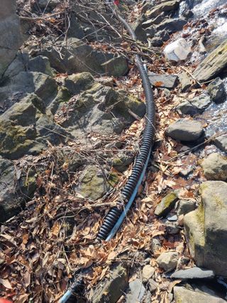 김용대님의 기타작물 · 영농일지 작성글 사진