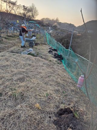 전영희님의 기타작물 · 영농일지 작성글 사진