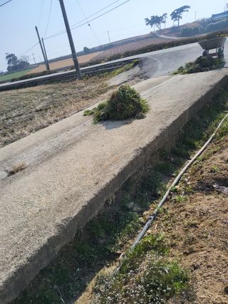 최유순님의 기타작물 · 영농일지 작성글 사진