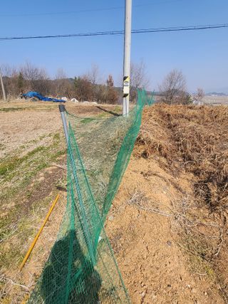 황미순님의 기타작물 · 영농일지 작성글 사진