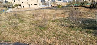 박종화님의 기타작물 · 영농일지 작성글 사진