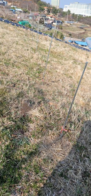 박종화님의 기타작물 · 영농일지 작성글 사진