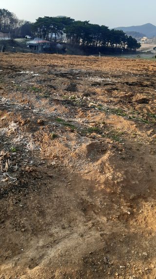 하루의행복님의 기타작물 · 영농일지 작성글 사진