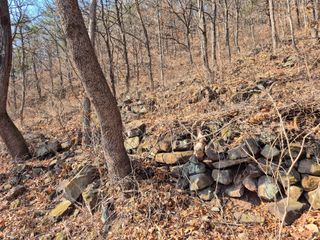 정진필님의 기타작물 · 영농일지 작성글 사진