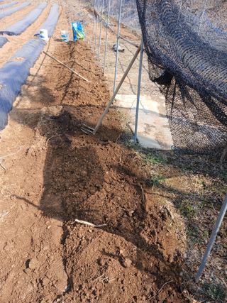 백영호님의 기타작물 · 영농일지 작성글 사진