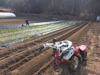 박천규 님의 기타작물 · 영농일지 작성글 사진