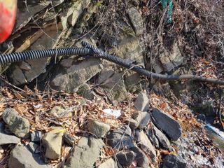 김용대님의 기타작물 · 영농일지 작성글 사진