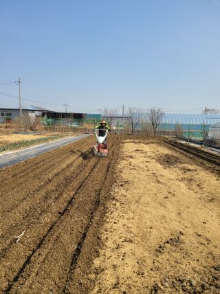노경자님의 기타작물 · 영농일지 작성글 사진