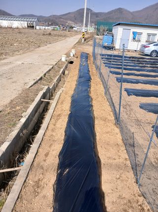 백영호님의 기타작물 · 영농일지 작성글 사진