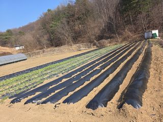 박천규 님의 기타작물 · 영농일지 작성글 사진