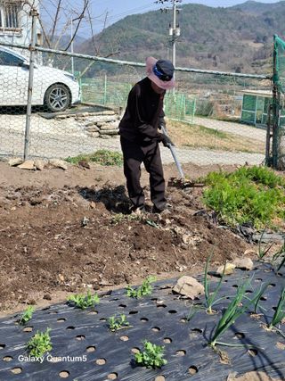 이세순님의 기타작물 · 영농일지 작성글 사진
