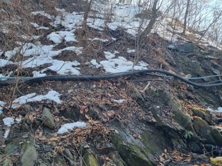 김용대님의 기타작물 · 영농일지 작성글 사진