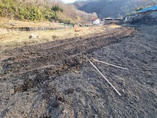 새싹님의 기타작물 · 영농일지 작성글 사진