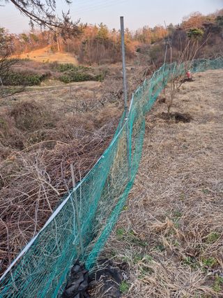 전영희님의 기타작물 · 영농일지 작성글 사진