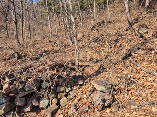 정진필님의 기타작물 · 영농일지 작성글 사진