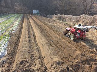 박천규 님의 기타작물 · 영농일지 작성글 사진