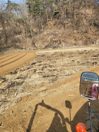 이상욱님의 감자 · 영농일지 작성글 사진