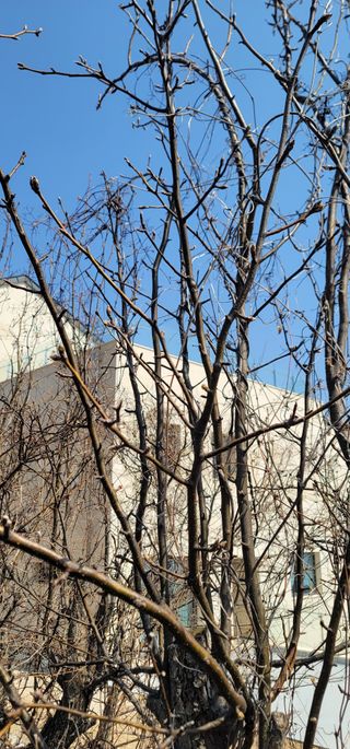 박종화님의 기타작물 · 영농일지 작성글 사진