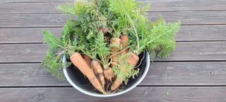 김정은님의 기타작물 · 영농일지 작성글 사진