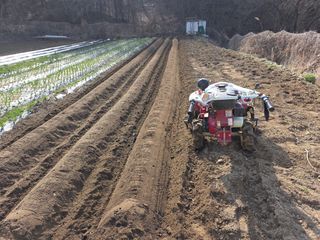 박천규 님의 기타작물 · 영농일지 작성글 사진