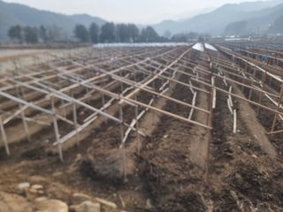 심상진님의 기타작물 · 영농일지 작성글 사진