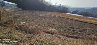 초보농부님의 기타작물 · 영농일지 작성글 사진