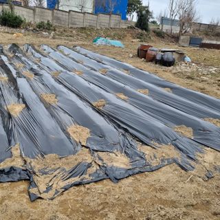 백현호님의 기타작물 · 영농일지 작성글 사진