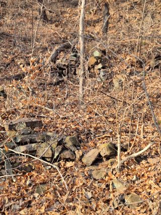 정진필님의 기타작물 · 영농일지 작성글 사진