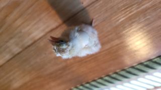 권병국님의 기타작물 · 영농일지 작성글 사진