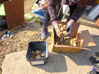 박천규 님의 기타작물 · 영농일지 작성글 사진