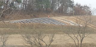 삽질왕님의 기타작물 · 영농일지 작성글 사진