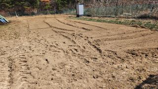 이상보님의 기타작물 · 영농일지 작성글 사진