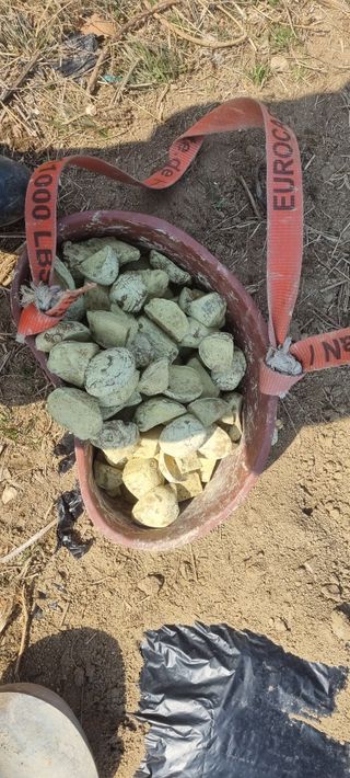 박사원농장님의 기타작물 · 영농일지 작성글 사진