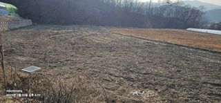 초보농부님의 기타작물 · 영농일지 작성글 사진