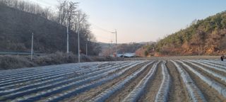 박사원농장님의 기타작물 · 영농일지 작성글 사진