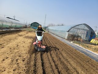 노경자님의 기타작물 · 영농일지 작성글 사진