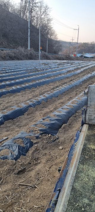 박사원농장님의 기타작물 · 영농일지 작성글 사진