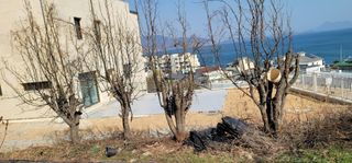 박종화님의 기타작물 · 영농일지 작성글 사진