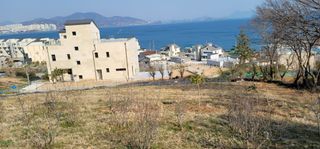 박종화님의 기타작물 · 영농일지 작성글 사진