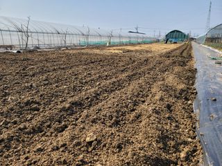 노경자님의 기타작물 · 영농일지 작성글 사진