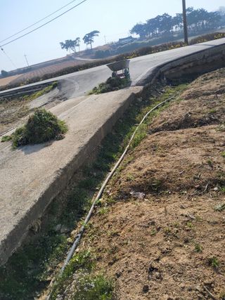 최유순님의 기타작물 · 영농일지 작성글 사진