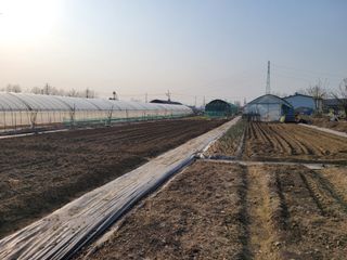 노경자님의 기타작물 · 영농일지 작성글 사진