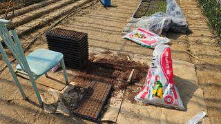 김남근님의 옥수수 · 영농일지 작성글 사진