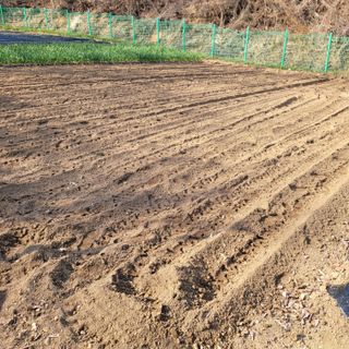 이창화님의 기타작물 · 영농일지 작성글 사진