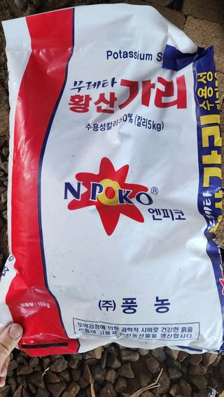 준우아빠님의 기타작물 · 영농일지 작성글 사진