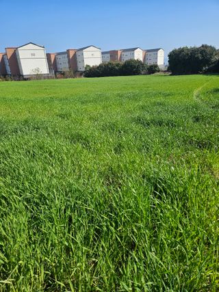 제주 지안이네농장님의 기타작물 · 영농일지 작성글 사진