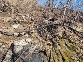 김용대님의 기타작물 · 영농일지 작성글 사진