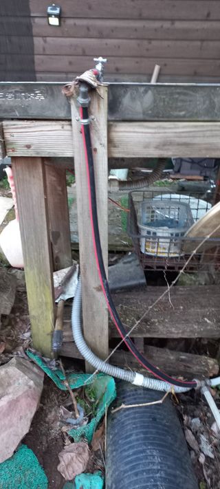 정석채님의 기타작물 · 영농일지 작성글 사진